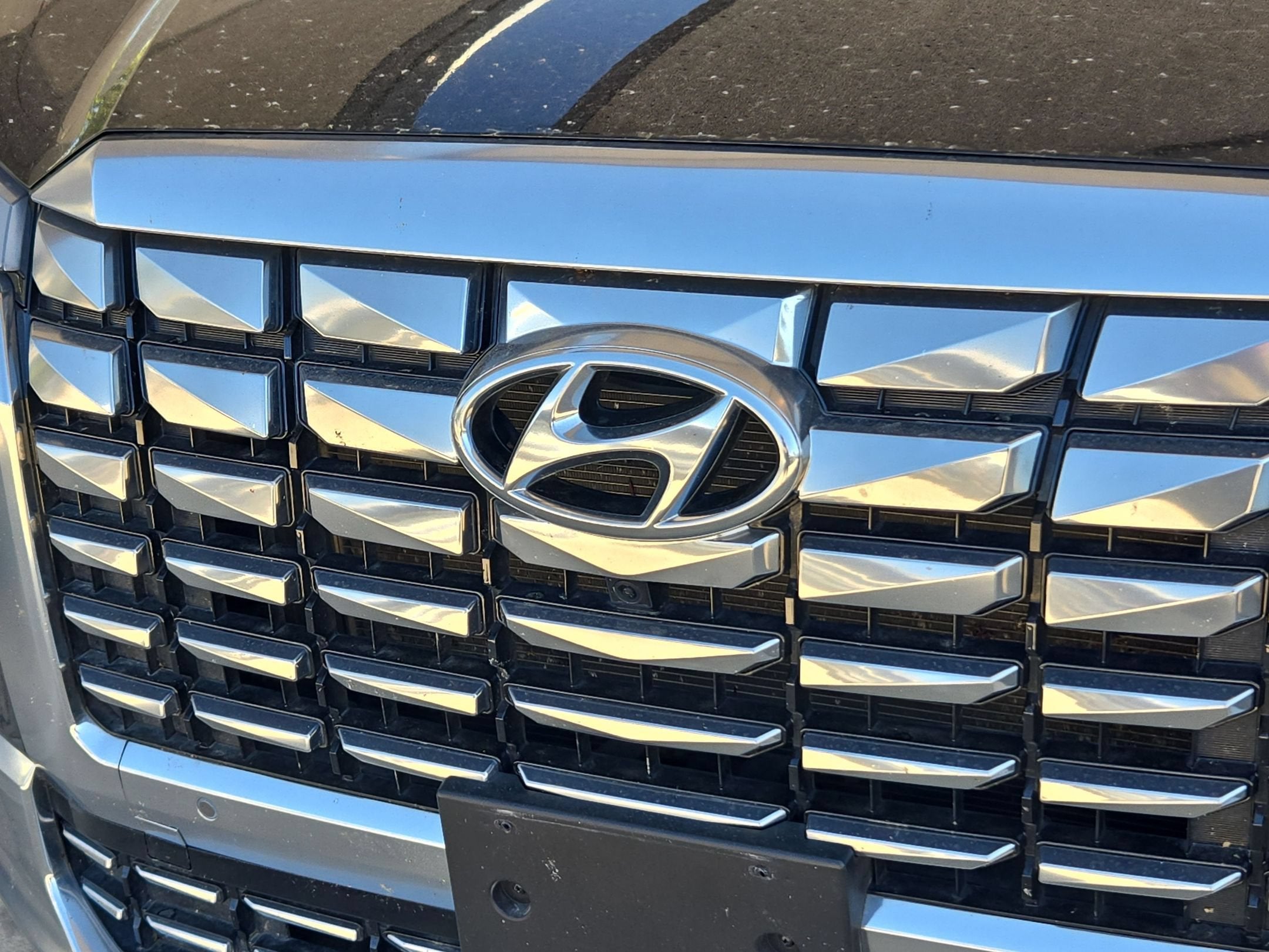 2025 Hyundai Palisade Calligraphy