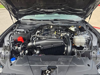 2024 Ford Mustang Base