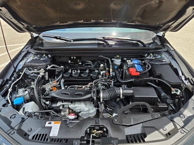 2023 Honda Accord Sedan LX