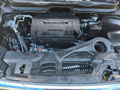 2024 Honda Pilot EX-L 7 Passenger